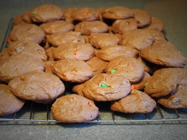 Chocolate Chip Mocha Cookies |doomthings